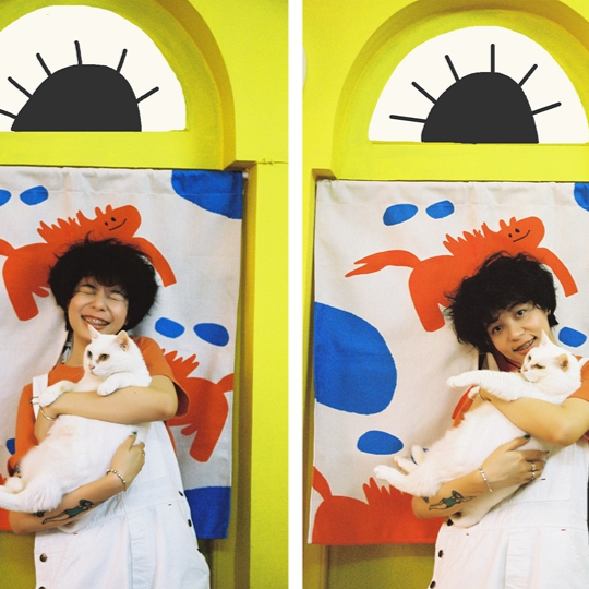 Little Red Horse Noren Curtain