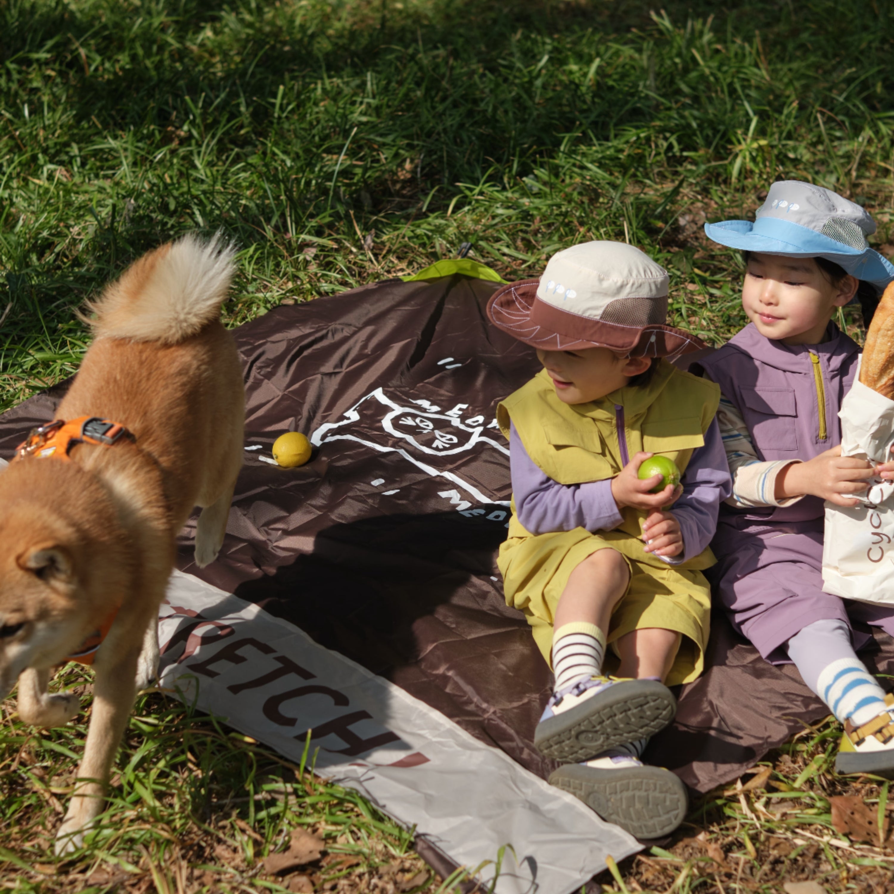 Let's Stretch Waterproof Picnic Mat, Brown