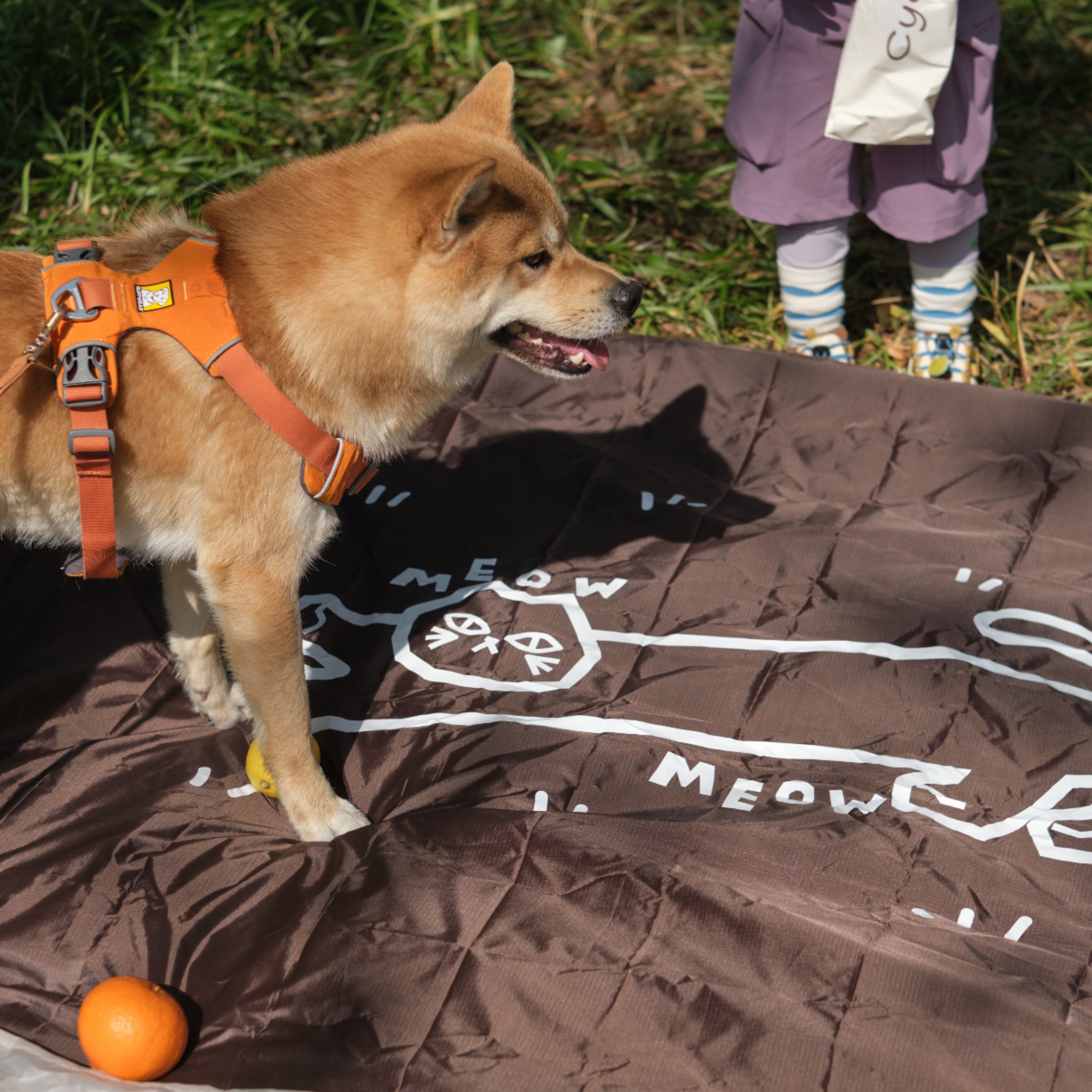 Let's Stretch Waterproof Picnic Mat, Brown